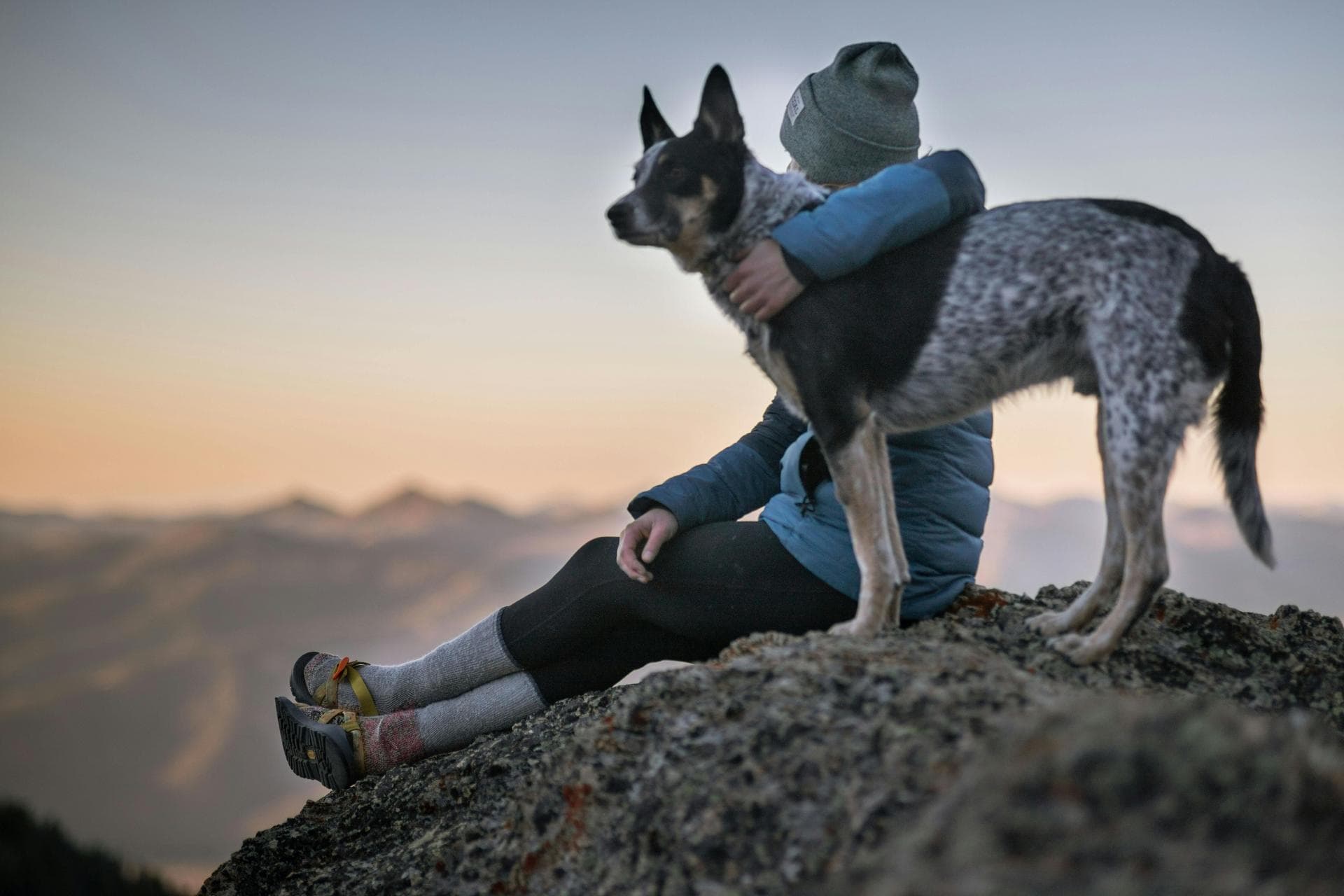 Best Vets in Ogden